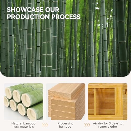 Bamboo Kitchen Utensil Holder with Drying Stone and 6 Compartments