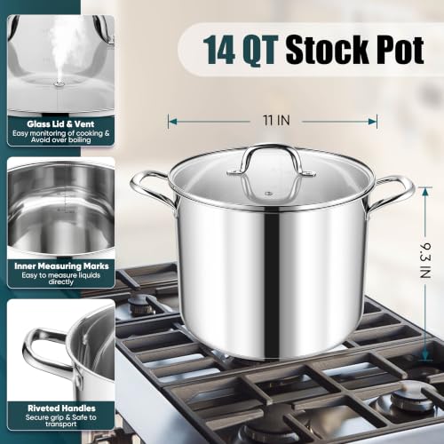 14 Quart Stainless Steel Stock Pot with Lid