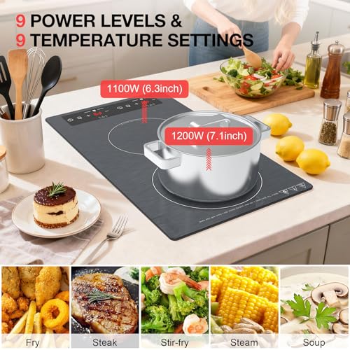 Double Induction Cooktop 110v (Gray 2 Burner)