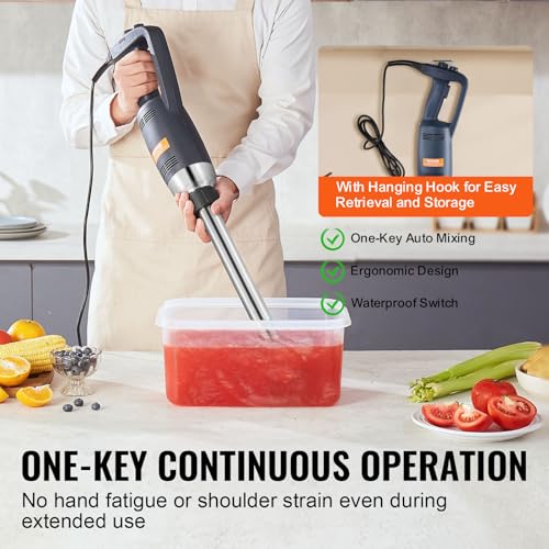 Commercial Immersion Blender (350Watt 16inch)