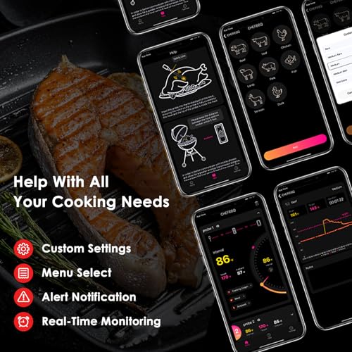 Wireless Meat Thermometer (X-109)