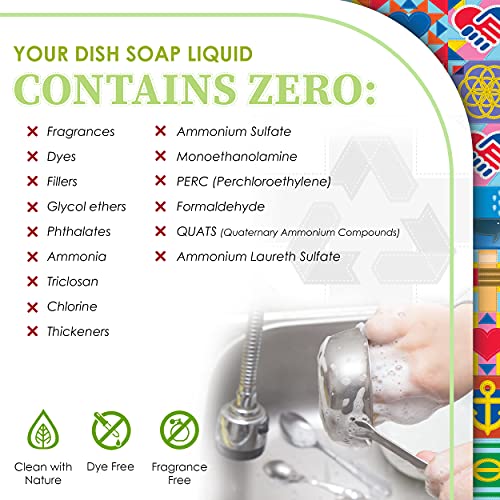 Non Toxic Dish Soap Kit (16 Fl Oz)
