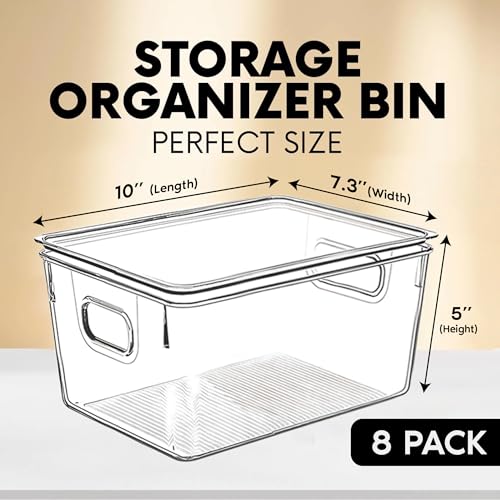 Clear Plastic Storage Bins with Lids (10 X 7.3 X 5)