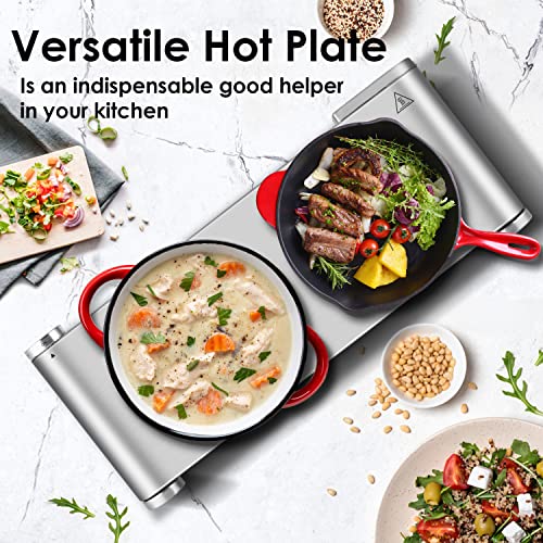 Hot Plate Electric Double Burner (Silver / Double)