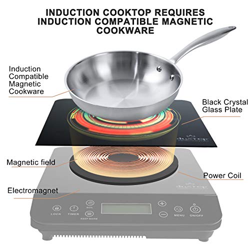 Portable Induction Cooktop (Black / 1800 Watts / Cooktop)