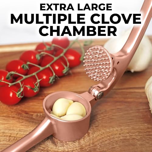 Large Premium Garlic Press Set