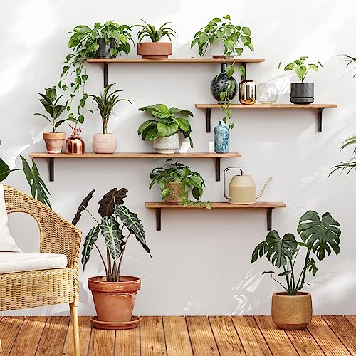 Long Wall Shelves (Rustic Brown / 47.3 Inch)