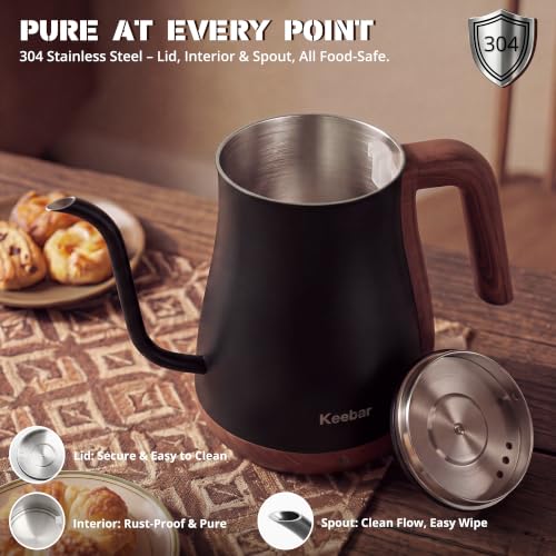 Gooseneck Electric Kettle (Matte Black / 0.8 Quarts)