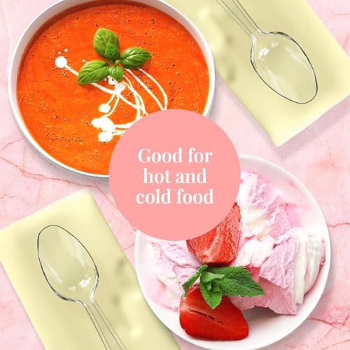 300 Plastic Spoons Bulk (300ct / Clear)