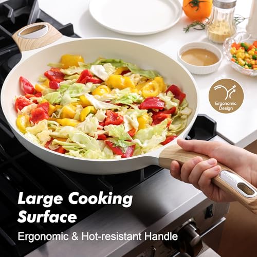 12.5in Ceramic Nonstick Frying Pan Paella Pan (12.5 Inch / CERAMIC White)