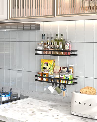 Spice Rack Organizer Wall Mount (2 Count)