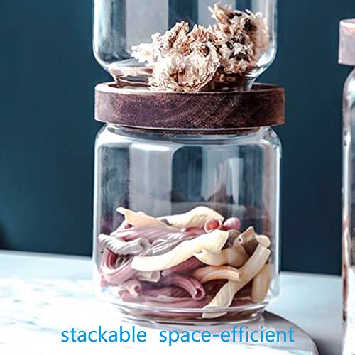 Set of 5 Kitchen Canisters (5set Mixed Size)
