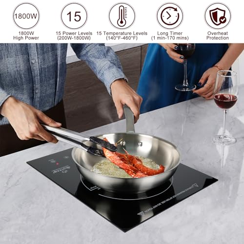Built in Induction Cooktop (Medium)