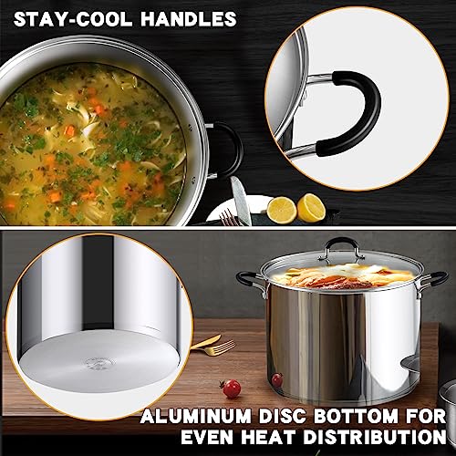 Professional 12 Quart Stainless Steel Stock Pot with Lid