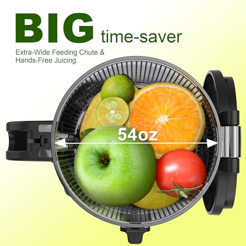 Juicer Machine