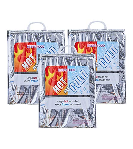 Hot and Cold Insulated Bags for Food Delivery