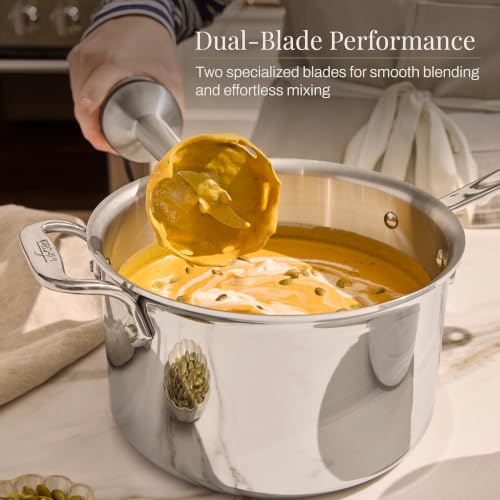 Electrics Stainless Steel Immersion Blender 2 Piece Turbo Function 600 Watts Detachable (9-1/4-inch)