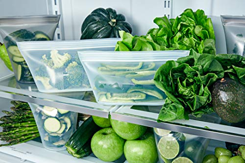 Reusable Food Storage Bags (Teal / Medium Dish)