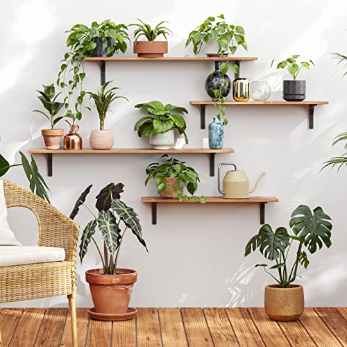 Long Wall Shelves (Rustic Brown / 23.6 Inch)