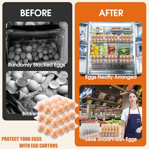 80 Pack Egg Cartons Cheap Bulk (3x4-80pcs)