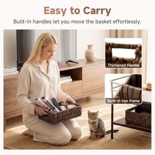 Wicker Baskets for Storage (Brown (Water Hyacinth) / 2x 11¼"L x 7½"W x 3½"H)