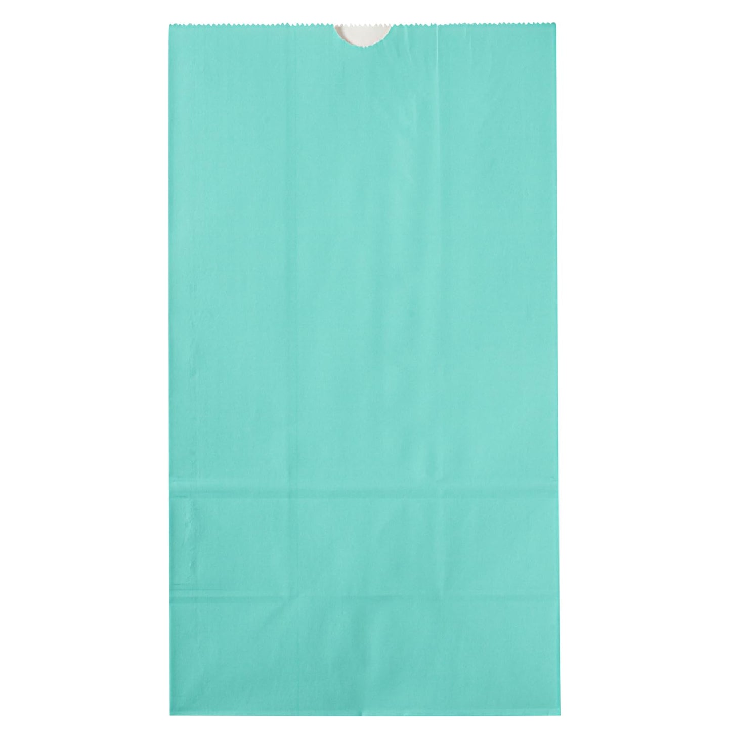 Turquoise Paper Bag (12 lb / Turquoise)
