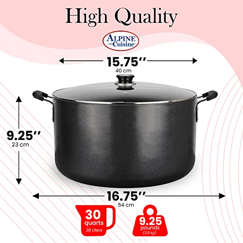 30 Quart Non stick Stock Pot with Tempered Glass Lid and Carrying Handles (30-Quart Stock Pot / Standard Packaging)