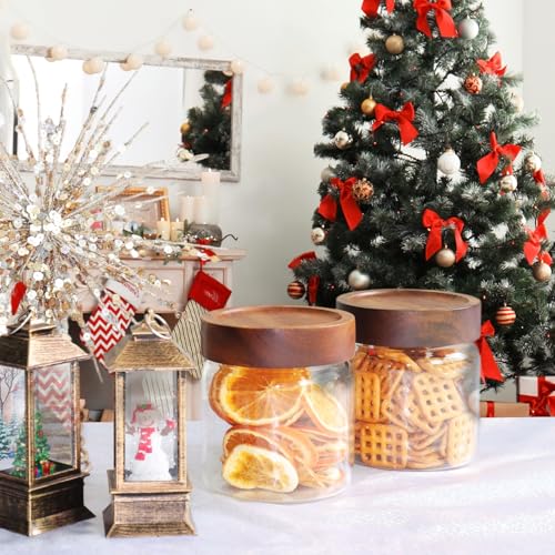 16 oz Glass Jars with Acacia Wood Airtight Lids Spice Jar Herb Storage Canister with Wooden Lid Clear Glass Food Jar for Sugar Pantry Tea Coffee Bean Spice Cookies (500ml/16oz-2pack)
