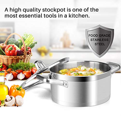 Stainless Steel Stock Pot with Lid (4.2 Quarts)