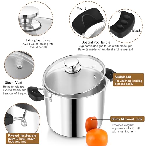 12 Qt Pot with Lid (12 Quarts)