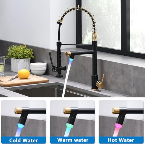 LED Kitchen Faucet with Pull Down Sprayer (Black&Gold)