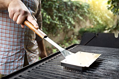 QVG40 Verde Collection Grill Brush with Replaceable Bristles and Scraper (Verde Grill Brush)