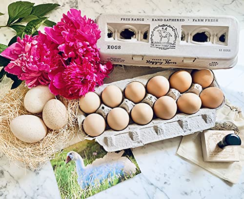 Egg Cartons Adorable Printed Design for Farm Fresh Eggs (Blank Stamping / 90)