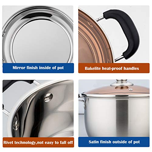 3 Qt Stockpot with Lid (3 Qt)