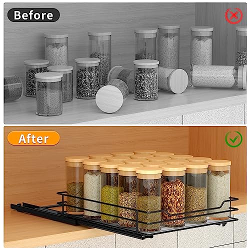 Pull Out Spice Rack Organizer for Cabinet