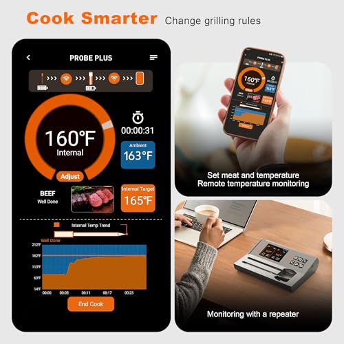 Dual Probes Meat Thermometer