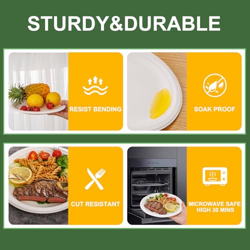 10 Inch Paper Plates 125 (White / 10Inch（125 PCS）)