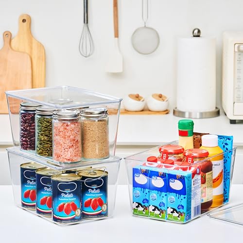 Large Clear Storage Bins with Lids (4 Count)