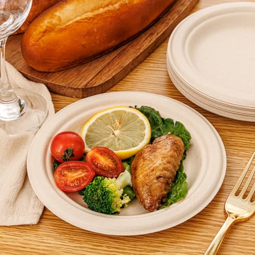 7 Inch Paper Plates 125 (Natural / 7Inch（125 PCS）)
