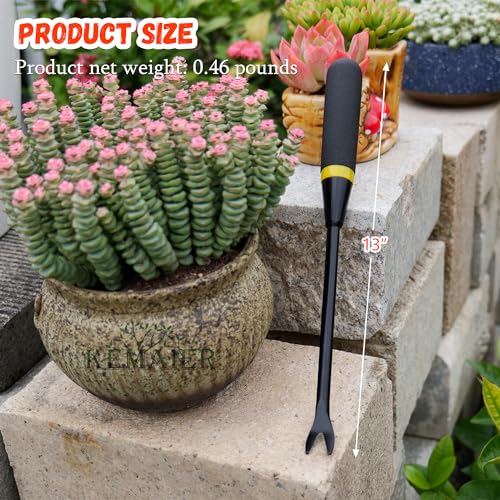 5 Piece Garden Tool Set