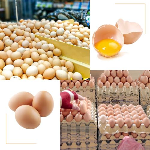 20 Flats 30 Cell Egg Crate?Holds 30 Eggs? (20 Pack 30 Cell)