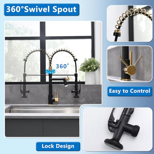 LED Kitchen Faucet with Pull Down Sprayer (Black&Gold)