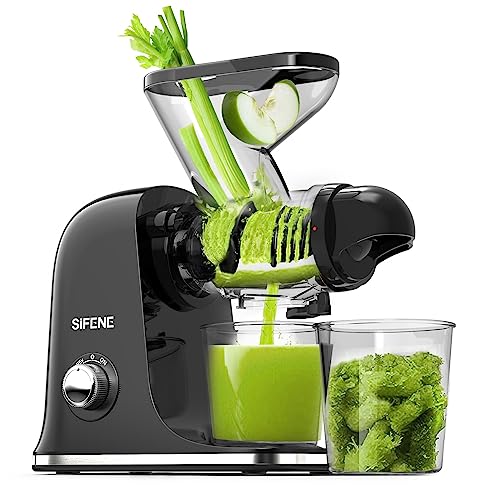 Mini Slow Masticating Juicer (Glossy Black)