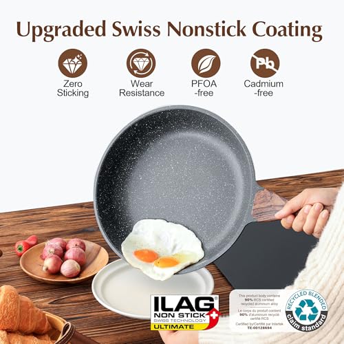 Nonstick Frying Pan Skillet (11 Inch / Gray)