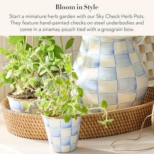 Enamel Herb Pot Set (Sky Check)