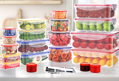40 PCS Food Storage Containers with Lids (40 Pcs)