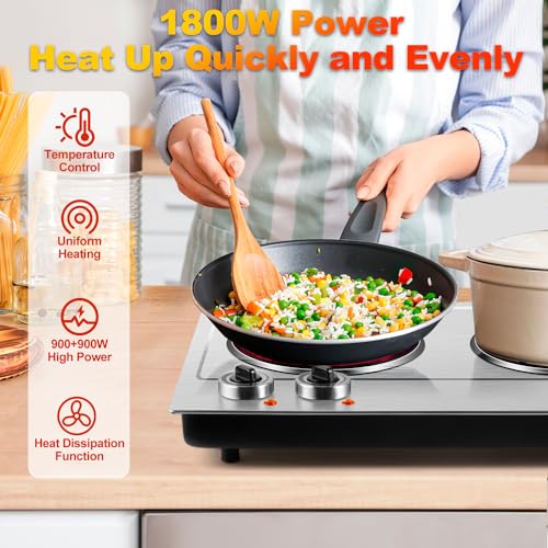 Hot Plate for Cooking (Infrared Silver / Double)
