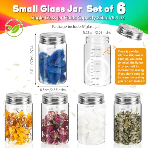 8 oz Small Glass Coffee Jars Spice Jar Round Storage Canister with Wooden Lid Clear Glass Food Jar for Pantry Sugar Tea Coffee Bean Spice Nuts Cookies Bath Salts (8oz/250ml-6pcs-B)