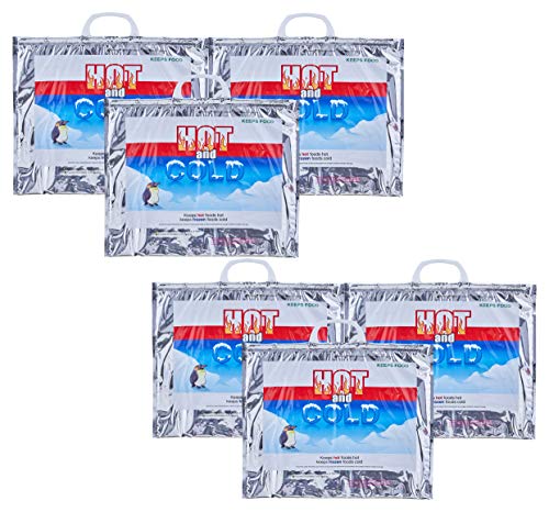 Hot and Cold Insulated Bags for Food Delivery (Small (Meal Size))