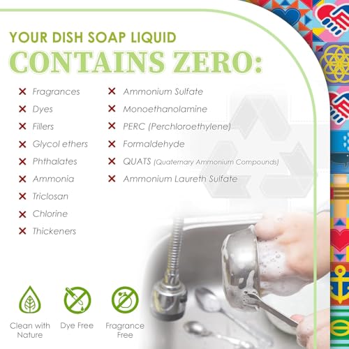 Non Toxic Dish Soap (9 Fl Oz)